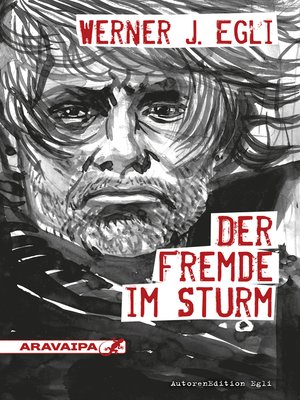 cover image of Der Fremde im Sturm